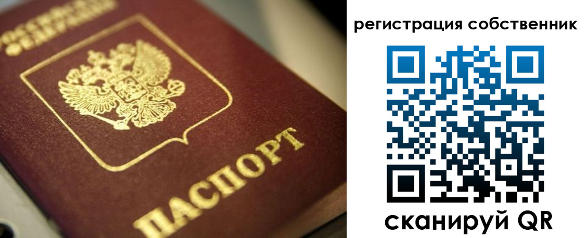 прописка в Кораблино